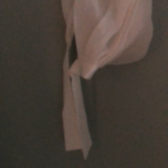 BCBGMAXAZRIA sheer long waist new with tags dress. - Picture 5 of 8